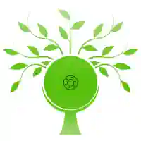 100 % Öko Strom für Ihre Zukunft